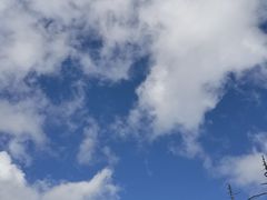 -朱雀国家森林公园