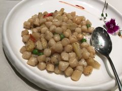 -蝶园·装修中(BFC外滩金融中心店)