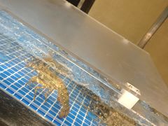 -博林天瑞喜来登酒店·西丽尚膳