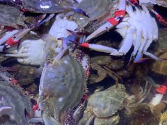 -聚盛源蒸汽海鲜火锅烤肉自助(巨川金海岸购物广场店)