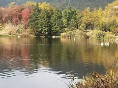 -浙江农林大学(东湖校区)