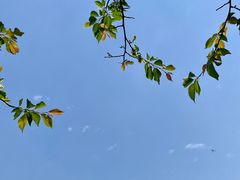 -青州市云门山风景区