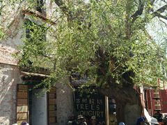 android_upload_pic-古树酸奶(八廓南街店)