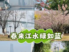 -武昌江滩