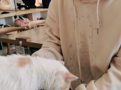 -平行世界·猫咖(首经贸店)