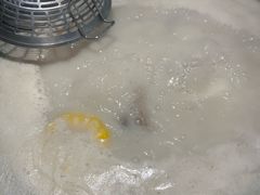 -骨之味·筒骨汤火锅(江头店)