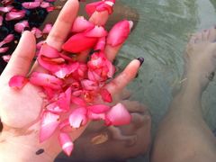 -咸宁万豪温泉谷度假区