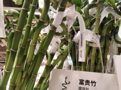 -IKEA宜家家居(南京商场)