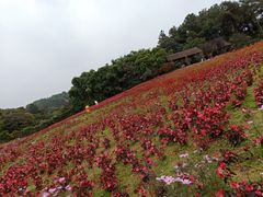 -保利石象湖景区