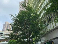 -嘉定宝龙广场