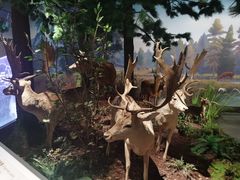 -陕西自然博物馆