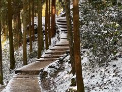 -青城山