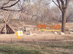 -北京野生动物园