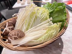 -同仁四季椰子鸡(福田东园总店)