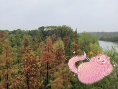 -广富林郊野公园