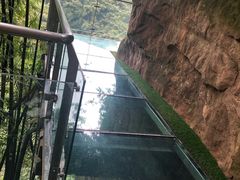 -川西竹海景区