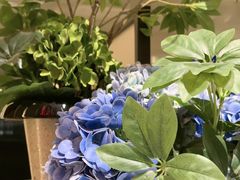 -大逸传奇·足道SPA(天美店)