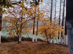 -南京珍珠泉风景区