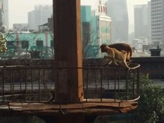 -昆明动物园