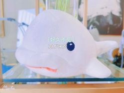 点击看大图 -Lily纤美·科技减脂中心