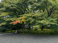 -西芳寺(苔寺)