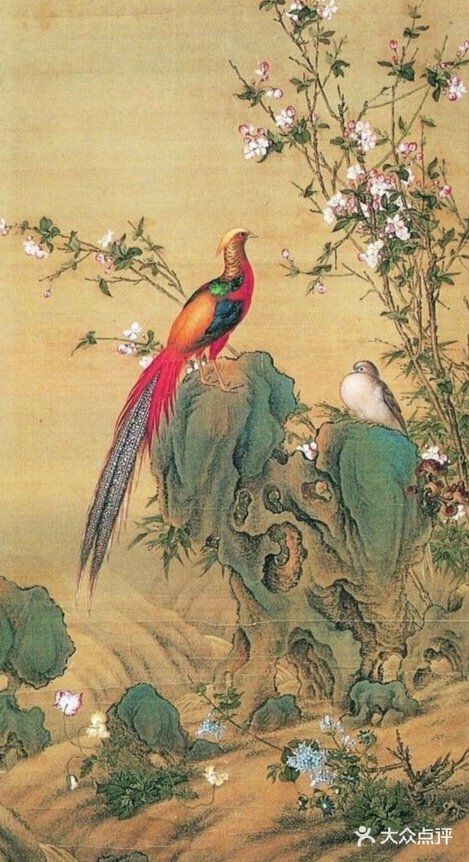 栩栩如生的花鸟图，简直是太漂亮了❗❗