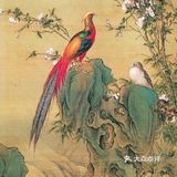 栩栩如生的花鸟图，简直是太漂亮了❗❗