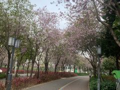 -顺峰山公园