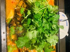 湄公鱼-炉鱼(无锡八佰伴中心店)