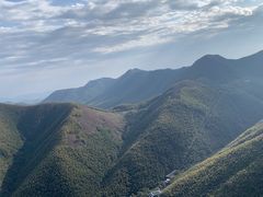 -南山竹海·珍味堂
