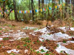 -丽江泸沽湖景区
