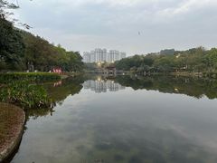 -广州汇华希尔顿逸林酒店