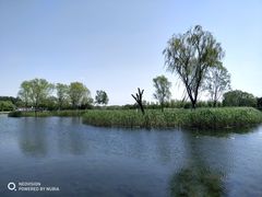 -大兴滨河森林公园