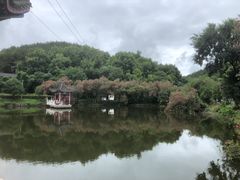 -青龙山国家森林公园