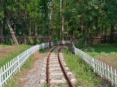 -东平国家森林公园