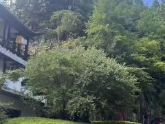 -五龙源极限漂流