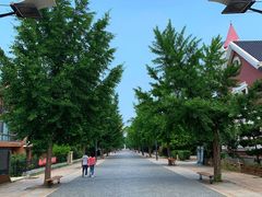 -天正河鲀·河豚亭(大连店)