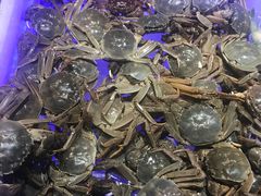 -诱货海鲜自助火锅(爱琴海购物公园东百店)