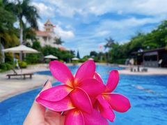 -厦门途易蓝罗约海景温泉酒店(园博苑地铁站店)