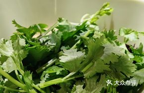 Fish Head Dipping Sauce