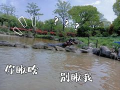 -上海野生动物园