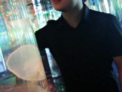 -石家庄海洋公园