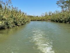 -泗洪洪泽湖湿地景区