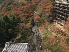 -有栖山 清光院 清水寺