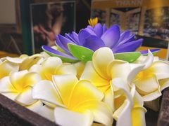 -象遇-泰式.秘术 SPA(先天下店)