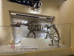 -国家自然博物馆