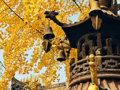 -长春观