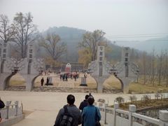 -千年银杏谷文化旅游区