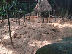 -广州长隆野生动物世界