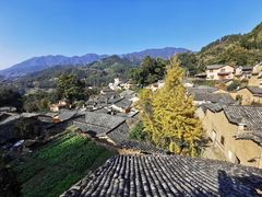 -杨家堂村